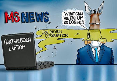 MS News