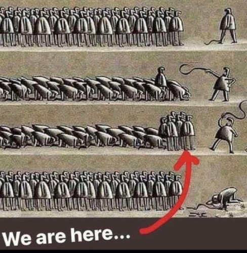 Freedom