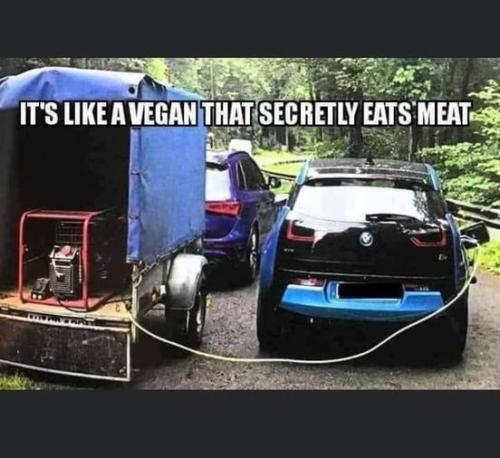 like a vegan