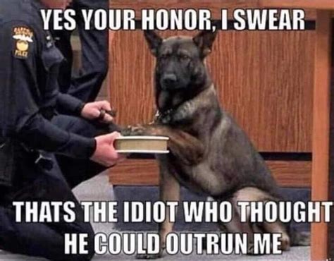 26F99591-0377-4128-9993-5E4C6D5A5C0B