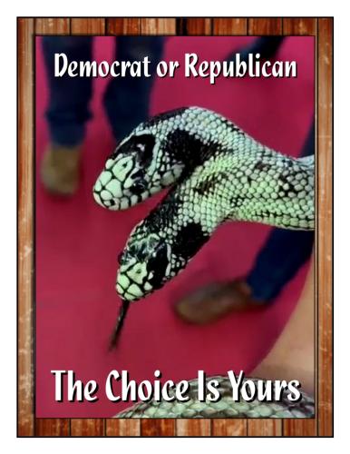 2-Headed Snake of Politics