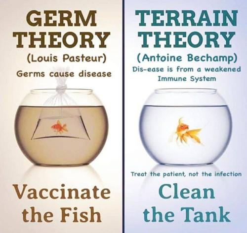 BB036B24-D1B4-4917-B337-CB5E108CFB78