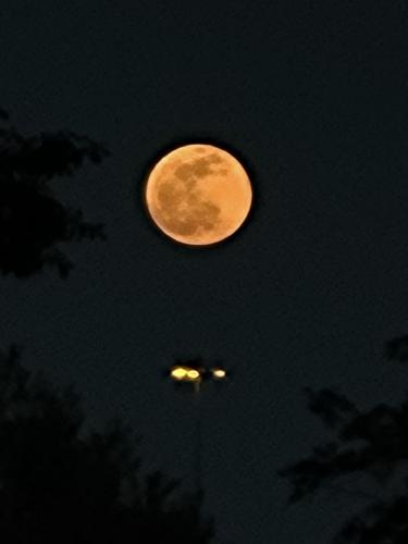 photo4904792046204726207