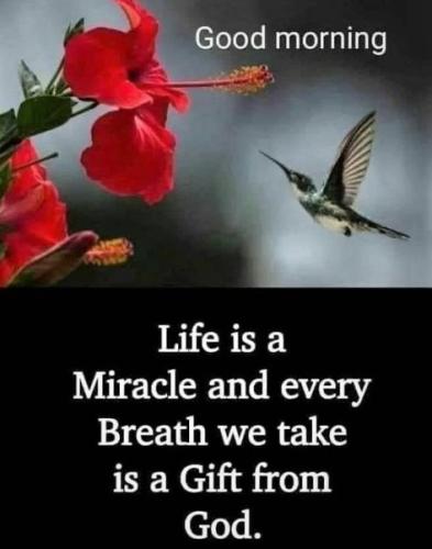 052322 - Life is a Miracle