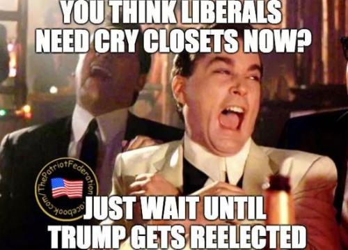 trump reelected