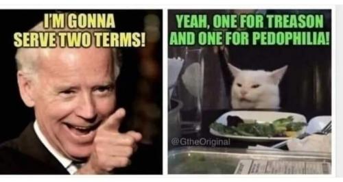 279614698_364914949029054_6918314362989710012_n