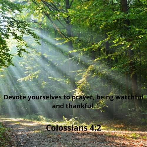 2D9D425FECBE33744D8303BA6C513B87.bible28