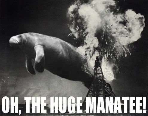 Meme - Oh, The Huge Manatee (parody of The Hindenburg explosion)
