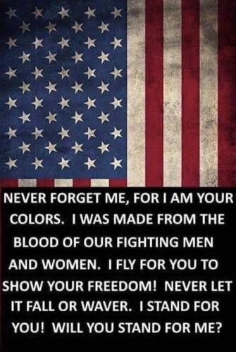 PLEDGE TO THE FLAG EVERYONE