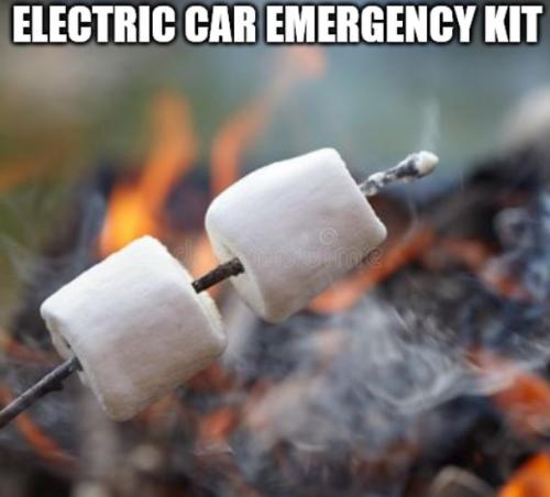 bidenteslaemergencykitwcap