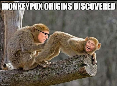 41340f5d54fdb5c6001f74c6744dba89_500