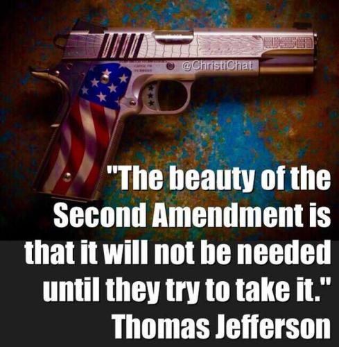 the beauty of the second amendment