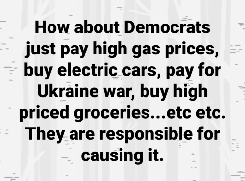 M Dems pay