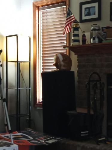 16529959431931413044281171986256