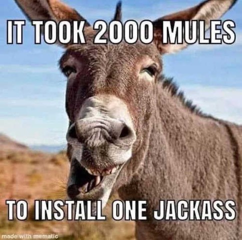 JACKASS