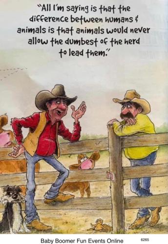 Dumbest of the herd