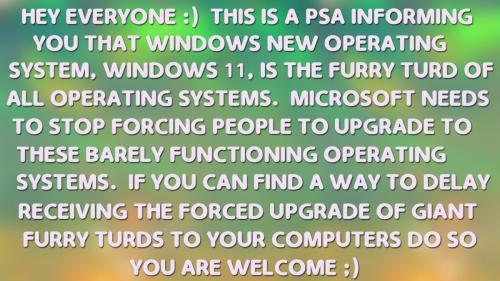 Windows 11 Is A Furry Turd