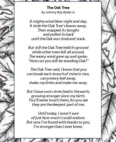 The Oak Tree