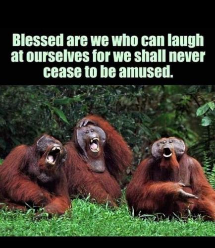 Amused