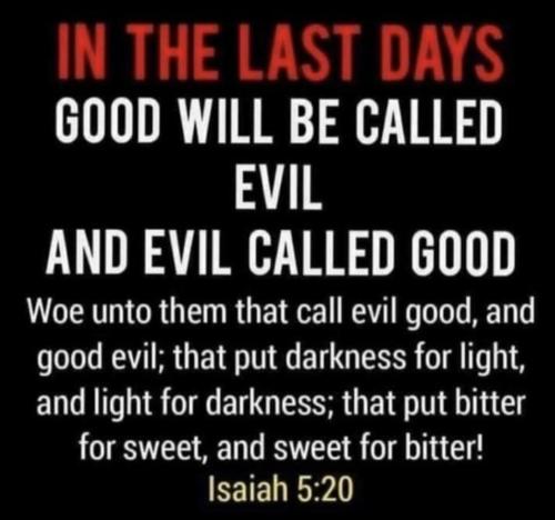 E1DD654C-DE6C-4522-905B-72EE814C1DD1