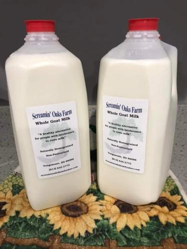 FB_IMG_1652626688672