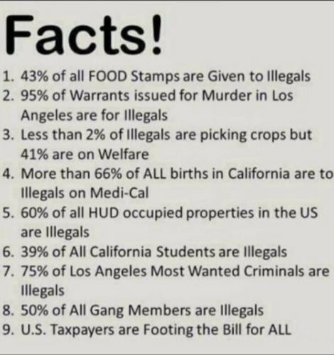 FACTS
