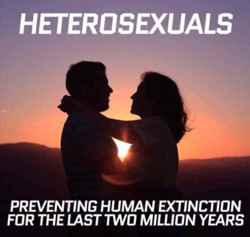 heterosexuals