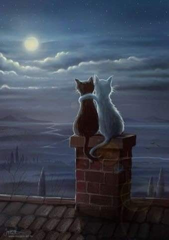 FB_IMG_1616007684201