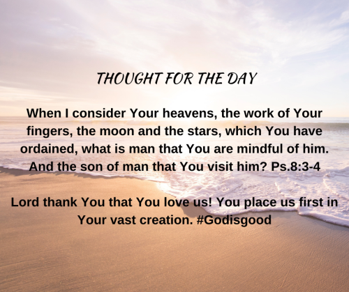 TWEET 5-31-22