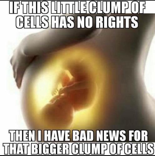 cells