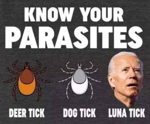 169326120_4003605916370832_1983015785134382119_n