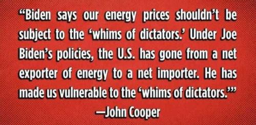 USA whims