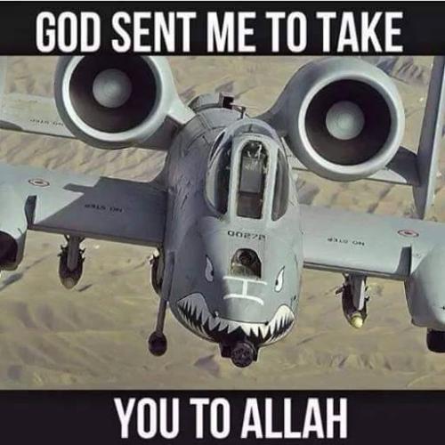 11902551_941593552568317_7914221590685437256_n