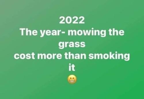 2022 the year that