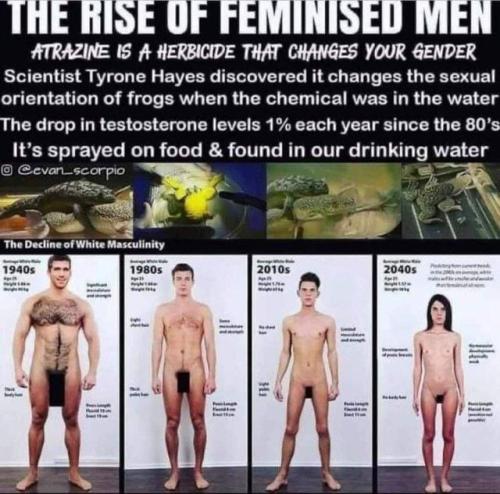 FeminisedMen