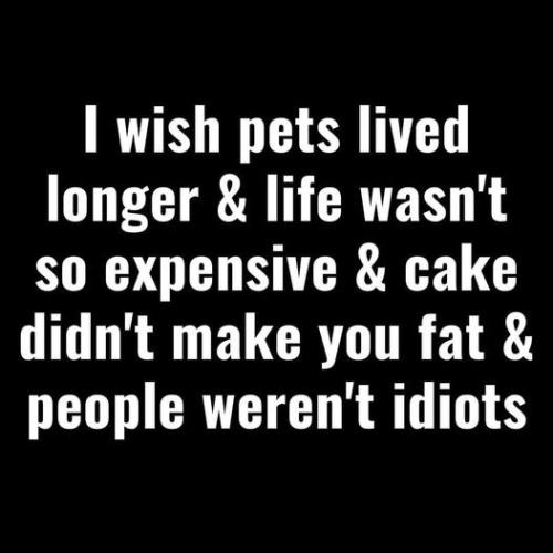 i wish pets would