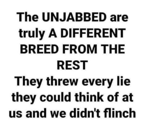 img - 2022-06-28T110610.431