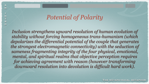 Screen Shot 2022-06-02 at 9.08.33 AM