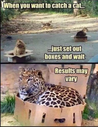 689feee8-69fe-4b34-bdbf-c36c14e28c66