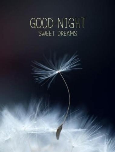 Good Night 14 - Sweet Dreams