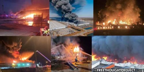 Food-Plants-Exploded-Burned-Down-e1650582590431