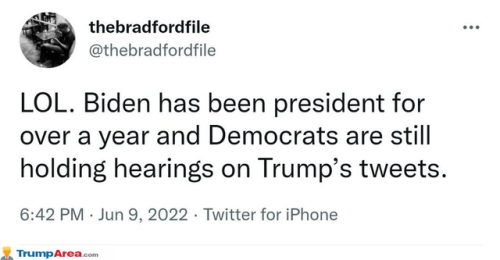 f1545f64053d8405