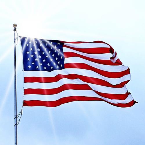 E913F731-B3A4-4F18-B83D-3953B543DFA7