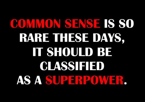USA Common Sense