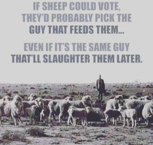 1B3F102D-C9DA-4295-BE50-C852FF1E6EC2