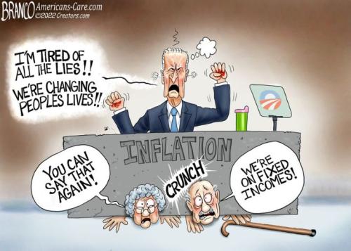 Branco-Angry-Old-Bird