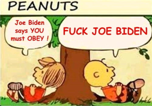 Capture+_2022-06-11-20-06-37(1)