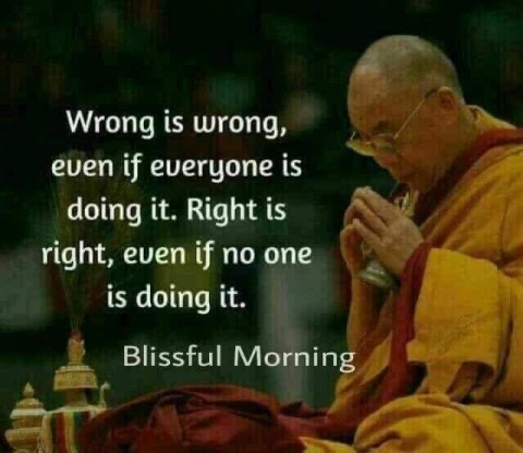 1EE65AFF-71E0-48B5-9DBA-B3CA030990CA