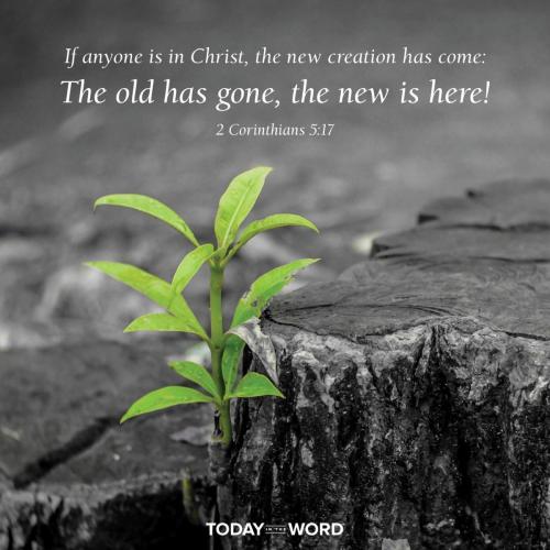 5CBD11B6-DB4A-40B6-90AB-2B93249CF34B