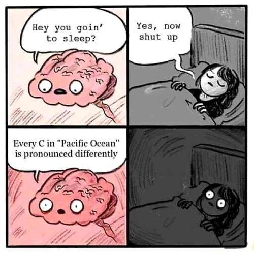 The brain
